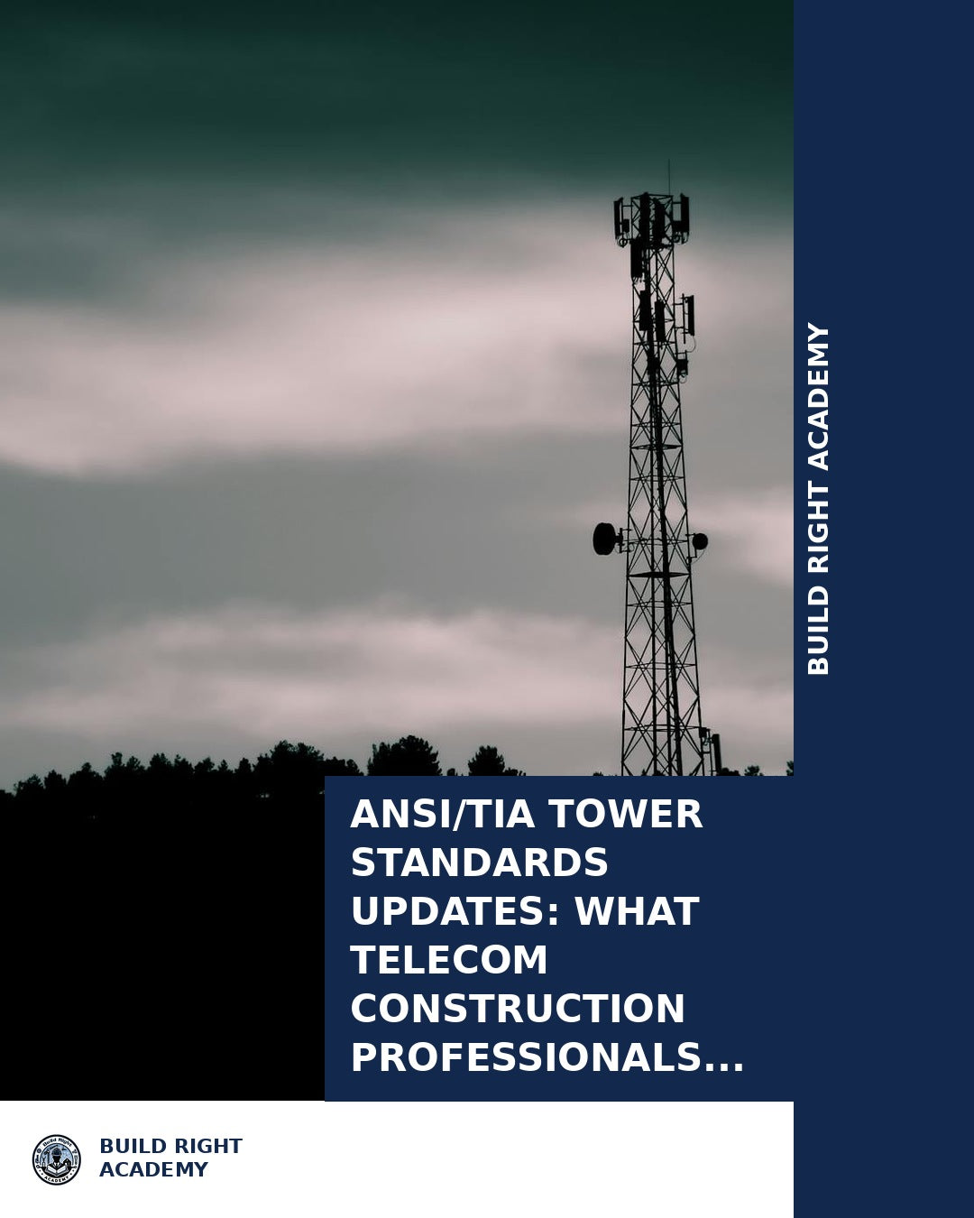 ANSI/TIA Tower Standards Updates: What Telecom Construction Profession